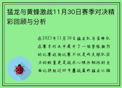 猛龙与黄蜂激战11月30日赛季对决精彩回顾与分析