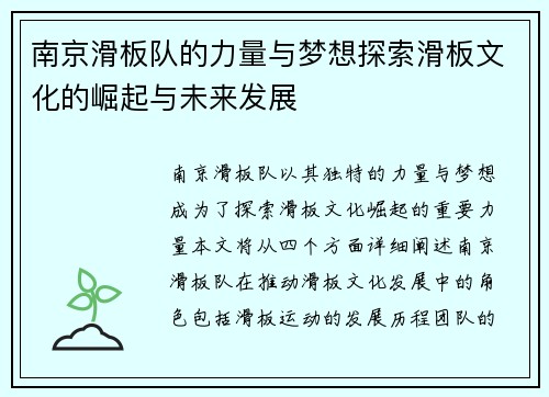 南京滑板队的力量与梦想探索滑板文化的崛起与未来发展