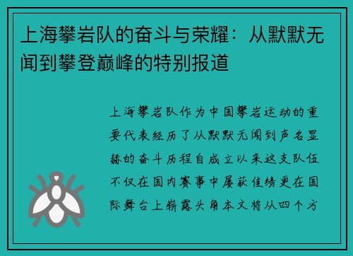 上海攀岩队的奋斗与荣耀：从默默无闻到攀登巅峰的特别报道