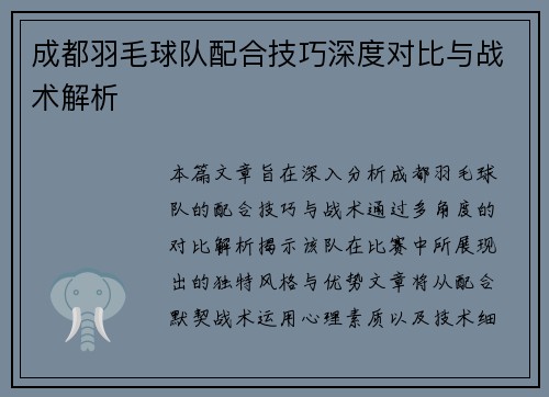 成都羽毛球队配合技巧深度对比与战术解析